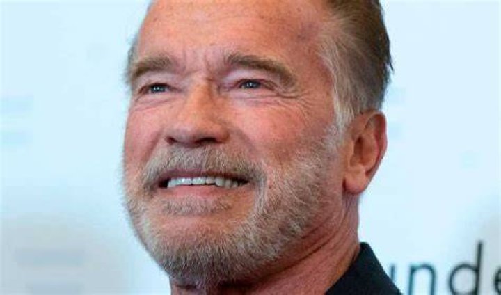 Arnold Schwarzenegger Set To Star In Netflix Spy Series