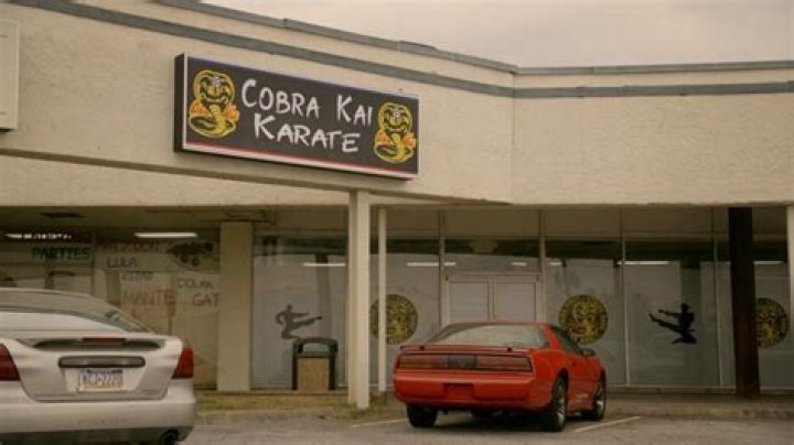 Cobra Kai House Atlanta Rental