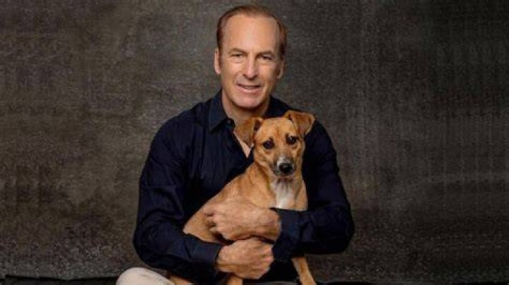 Here's How Bob Odenkirk Made It Big In The Entertainment Industry