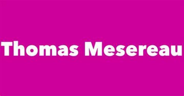 Image result for Thomas Mesereau