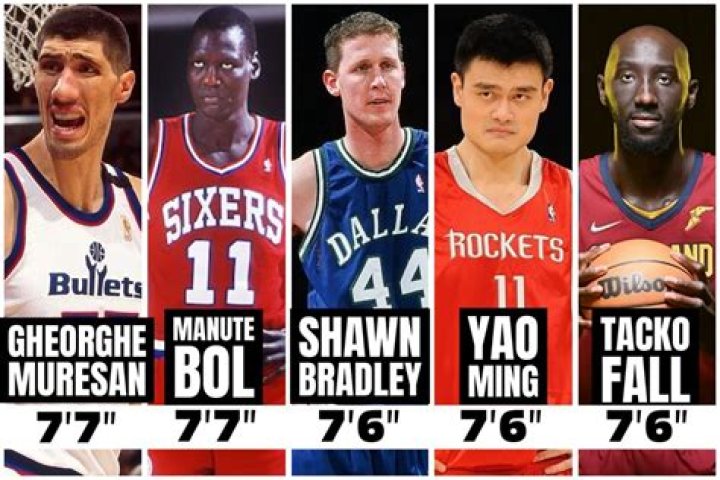 Top 10 Tallest Active NBA Players